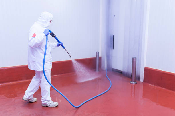 Best Warehouse Cleaning  in Riesel, TX