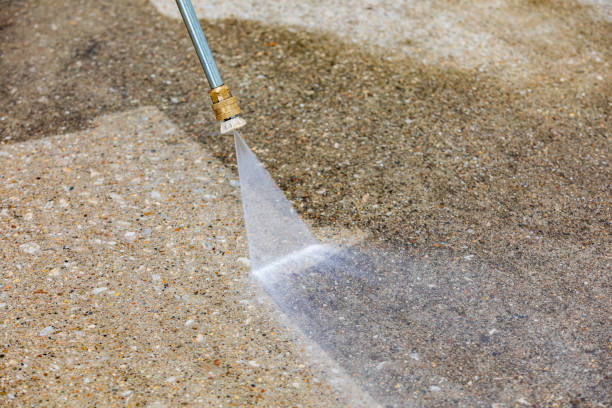 Best Animal Enclosure Cleaning  in Riesel, TX